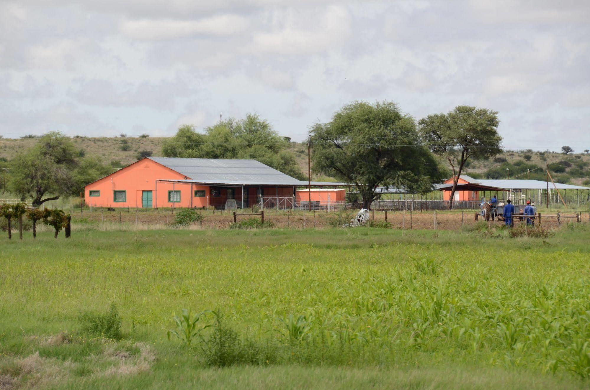 Kalahari Farmhouse, Namibia Mariental Exterior photo